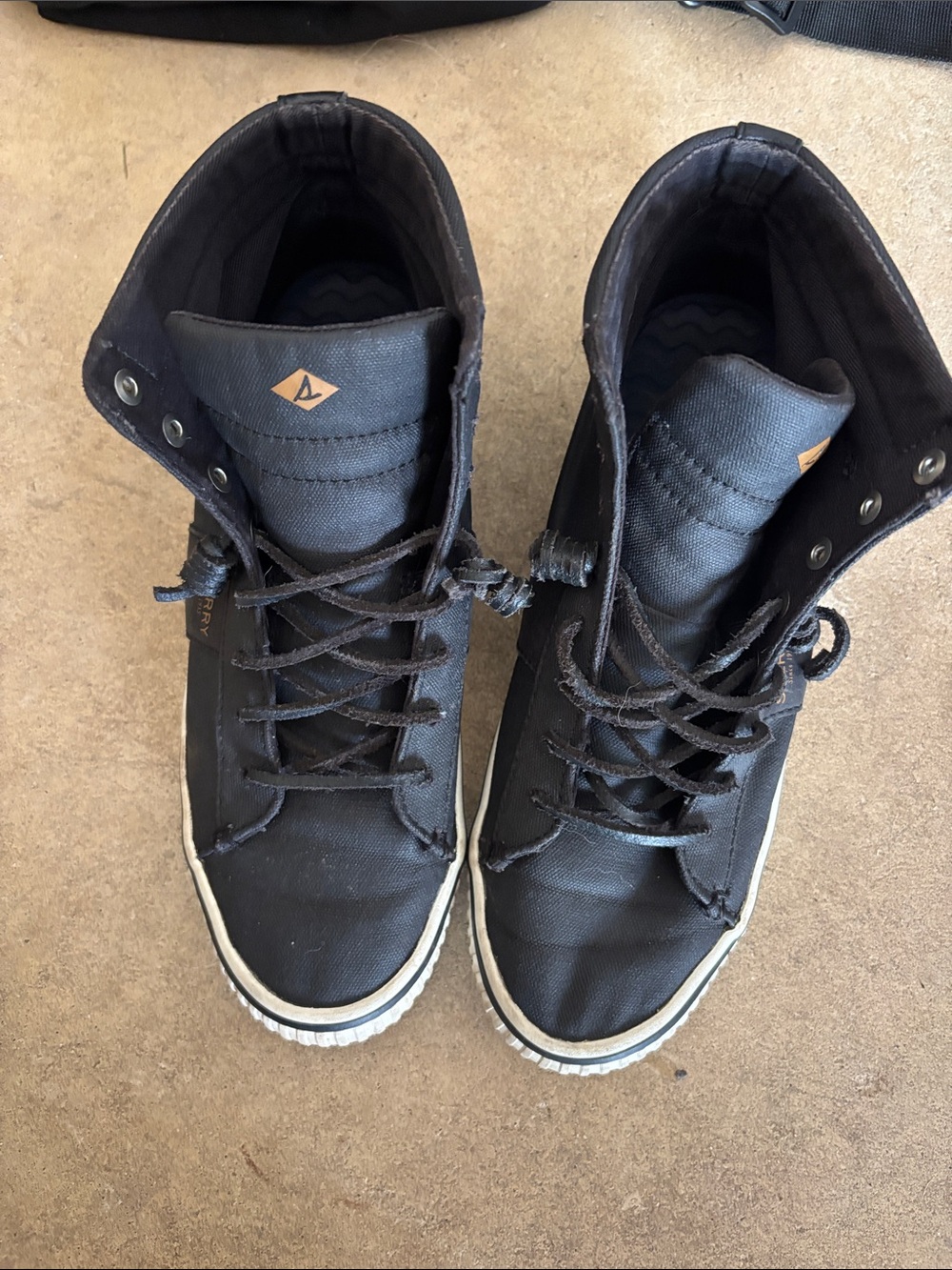 Sperry Womens Black High-Top Canvas Sneakers with White Trim